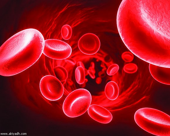 حل سؤال هي مادة تتواجد في خلايا الدم الحمراء مسؤولة عن التقاط