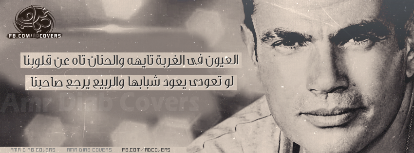 facebook_covers_amr_diab_02.png
