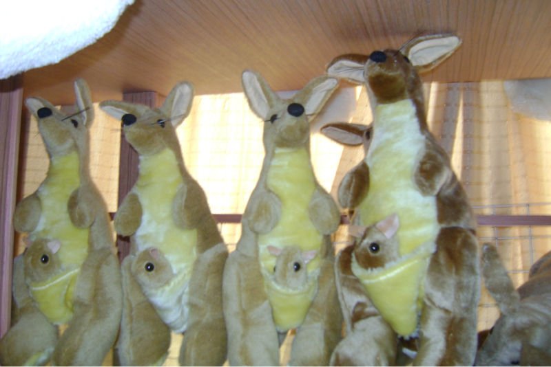 60cm_Soft_plush_stuffed_kangaroo_with_baby_australia_souvenir_toy.jpg