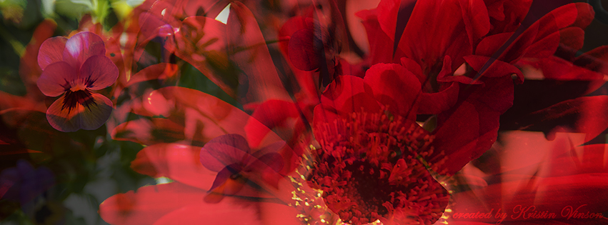 flowers_2_facebook_cover_by_crystalkittycat-d4v09kv.jpg