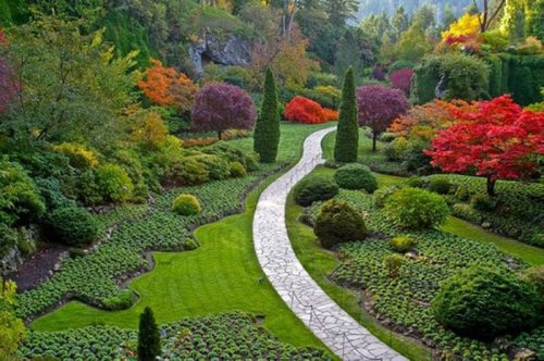 beautiful-gardens-manly-5.jpg