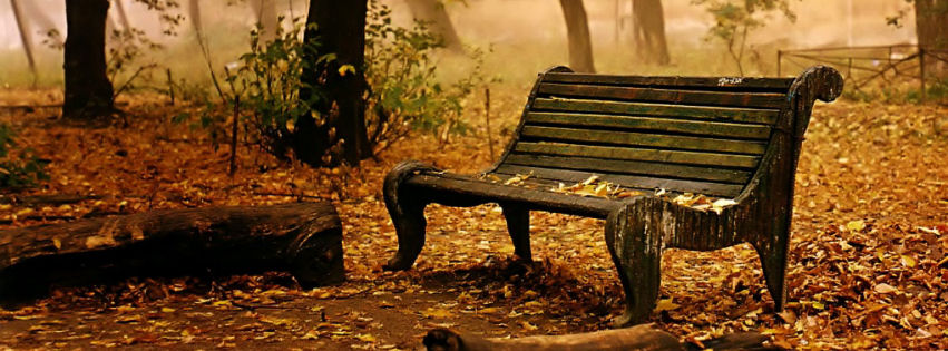 nature-old_bench.jpg
