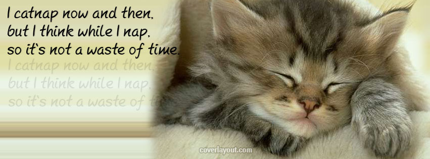 cat_nap.jpg