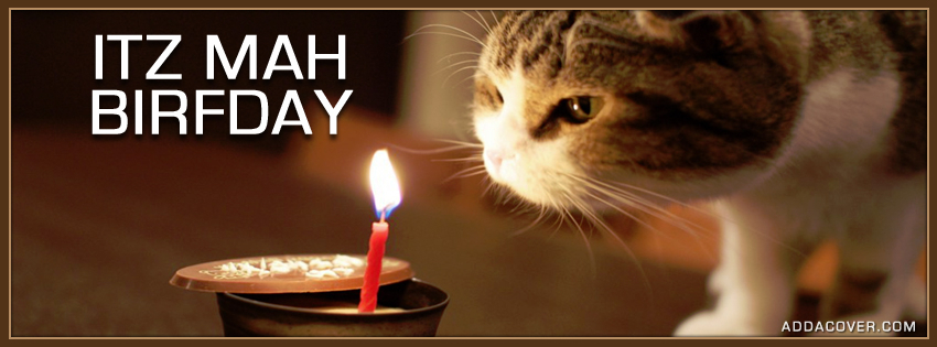 3000-birthday-cat.jpg