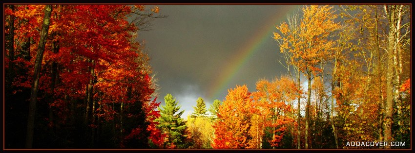 AUTUMN-facebook-covers-32305138-850-315.jpg