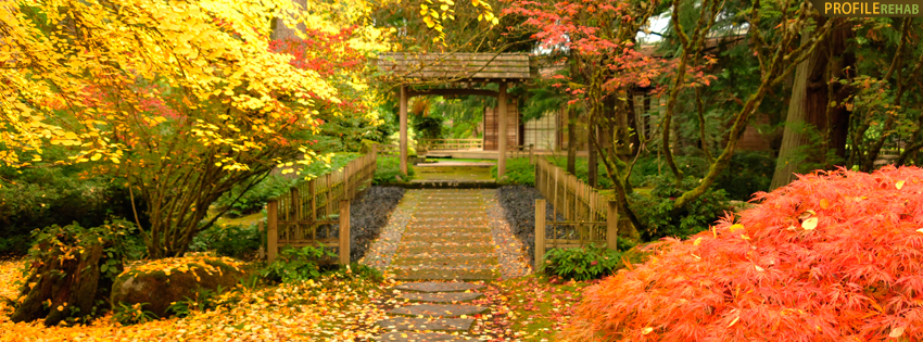 fall_walkway_cover_21.jpg