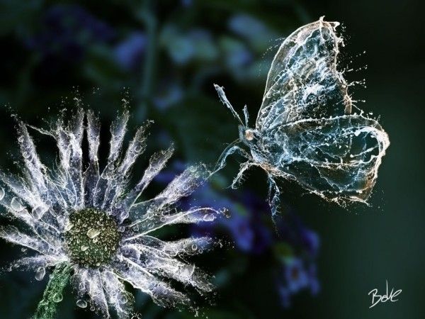Ice-Fire-and-Water-Digital-Art-by-BOKE-600x450.jpg