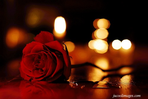 الوردي الأرجواني رومانسية الحب خلفية التصميم زهري خلفية رومانسية خلفيات حب صورة الخلفية للتحميل مجانا