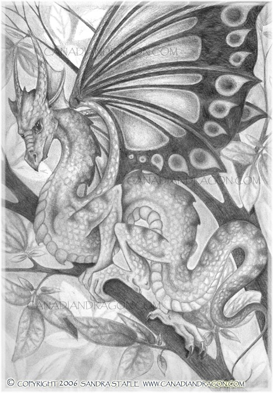 Dragon_Drawing_Pencil_Art_3.jpg