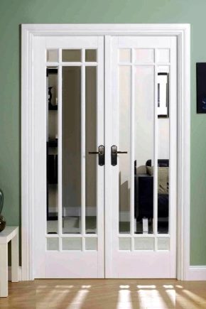 dveri-so-steklopaketom-50.jpg
