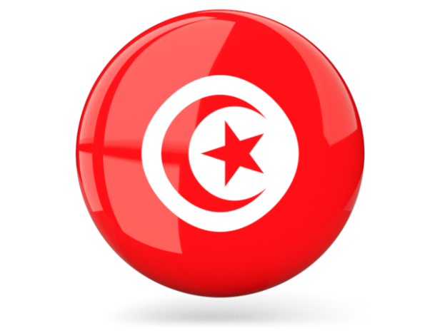 flag-of-tunisia-7-623x467.png