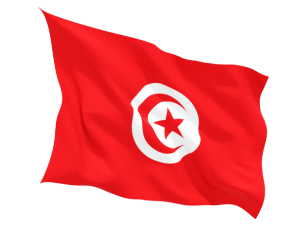 flag-of-tunisia-9-623x467.png