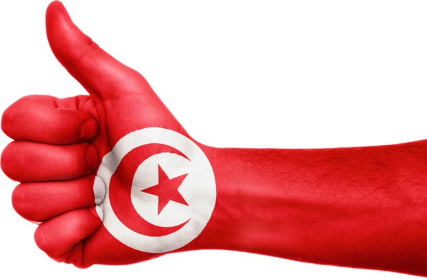flag-of-tunisia-10-623x407.png