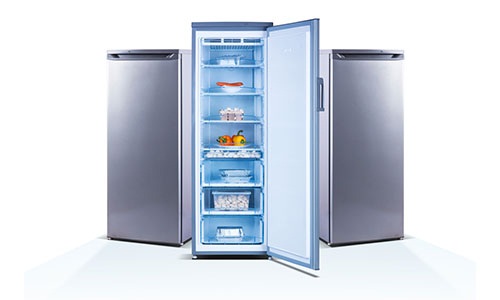 way-to-save-food-deep-freezer.jpg