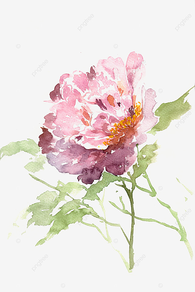 pngtree-watercolor-painting-delicate-flowers-image_2249455.jpg