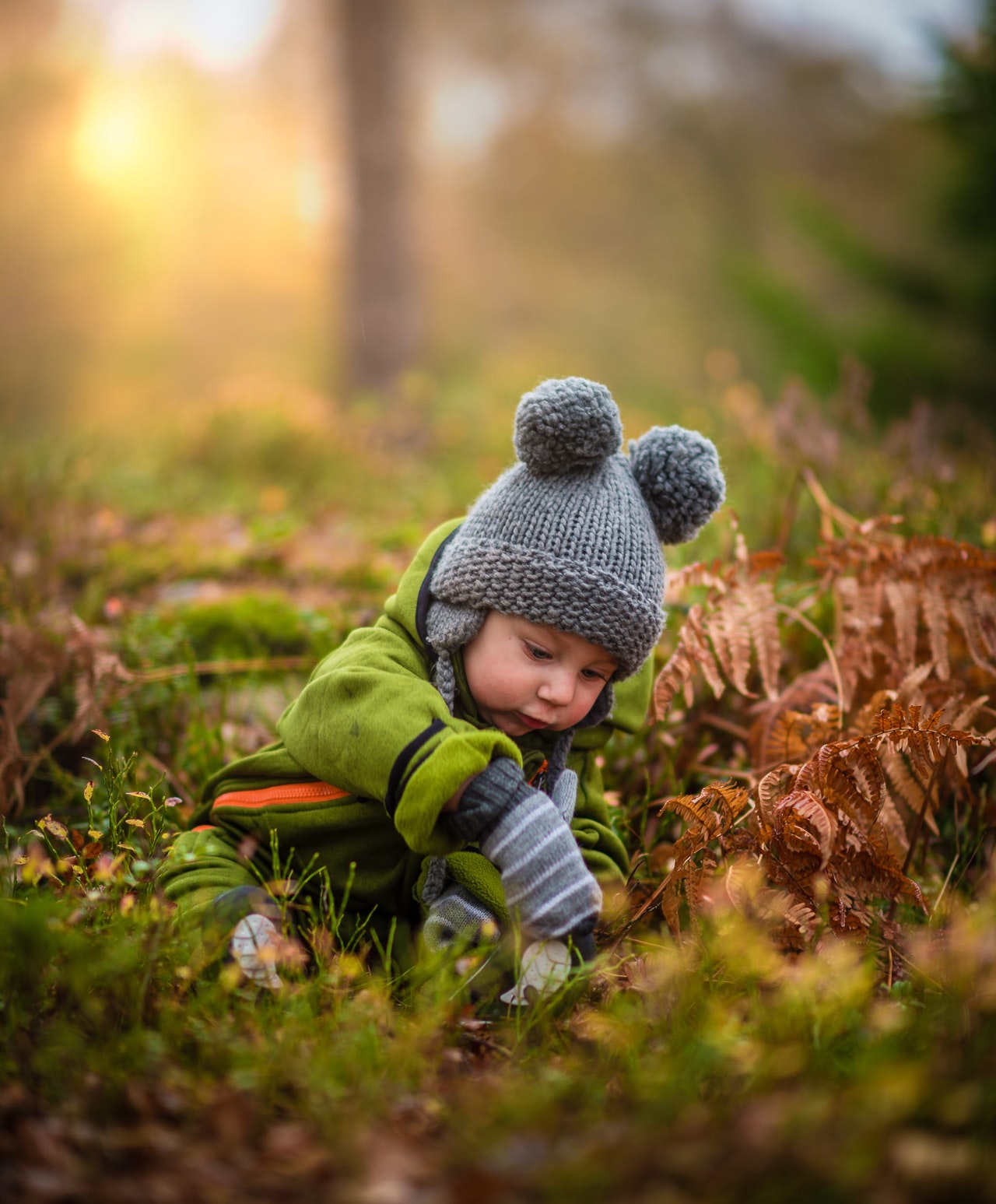 adorable-autumn-baby-blur-590471.jpg