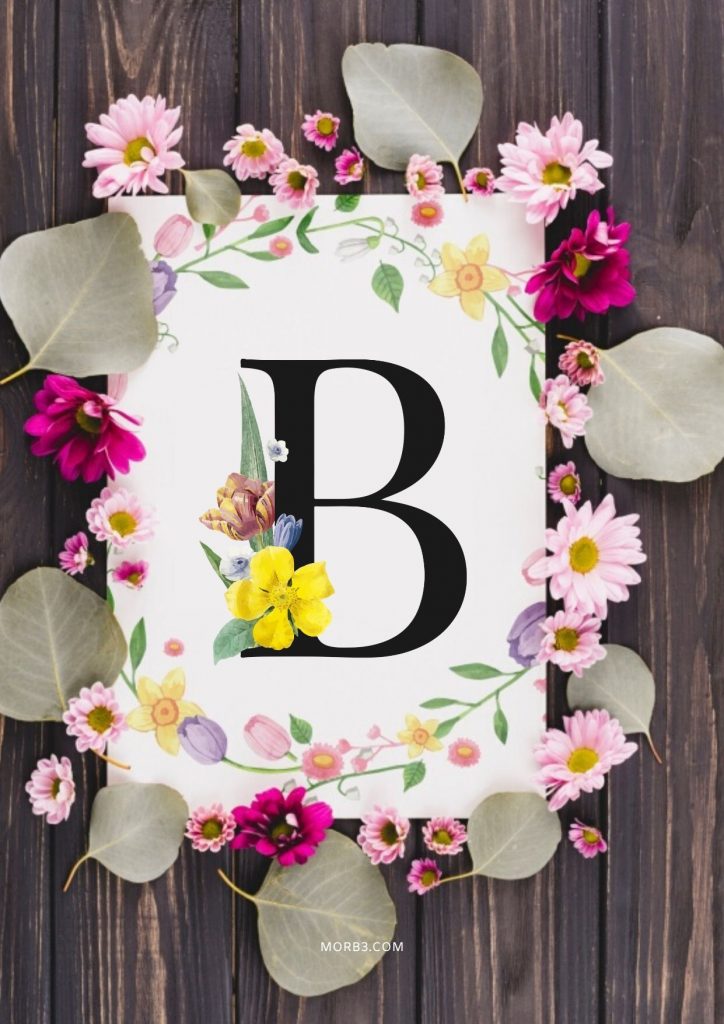 82%D9%84%D9%88%D8%A8-%D8%A8%D8%A7%D9%84%D9%88%D8%B1%D8%AF-letter-b-images-wallpapers-hd-724x1024.jpg