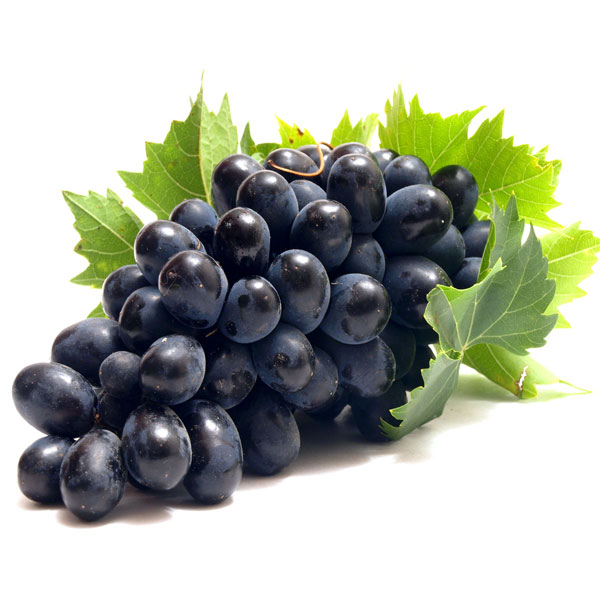Black-grape-images.jpg