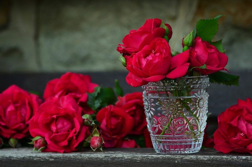Damascena-Roses01.jpg