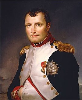 269px-Painting_of_Napoleon_Bonaparte_by_Jacques-Louis_David%2C_1813.jpg