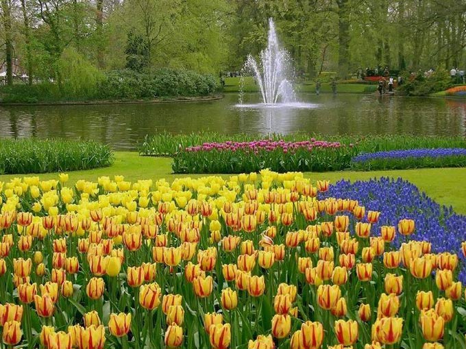 Keukenhof+%2811%29.jpg